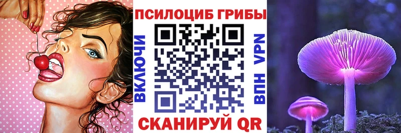 Галлюциногенные грибы Magic Shrooms  где продают   гидра ТОР  Пенза 